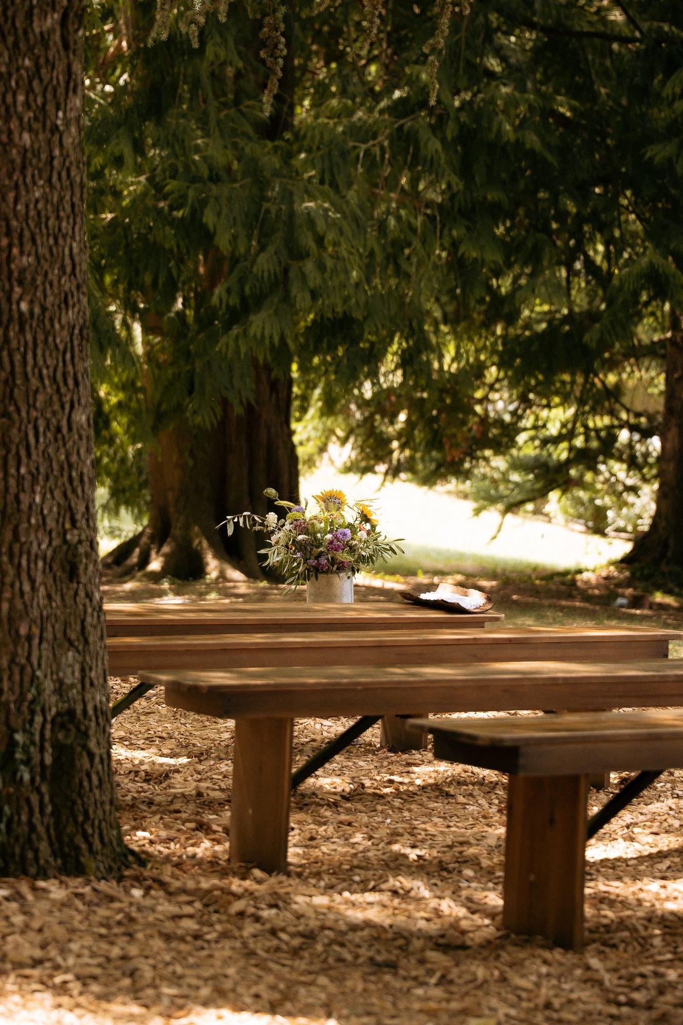 Table champêtre sous les arbres